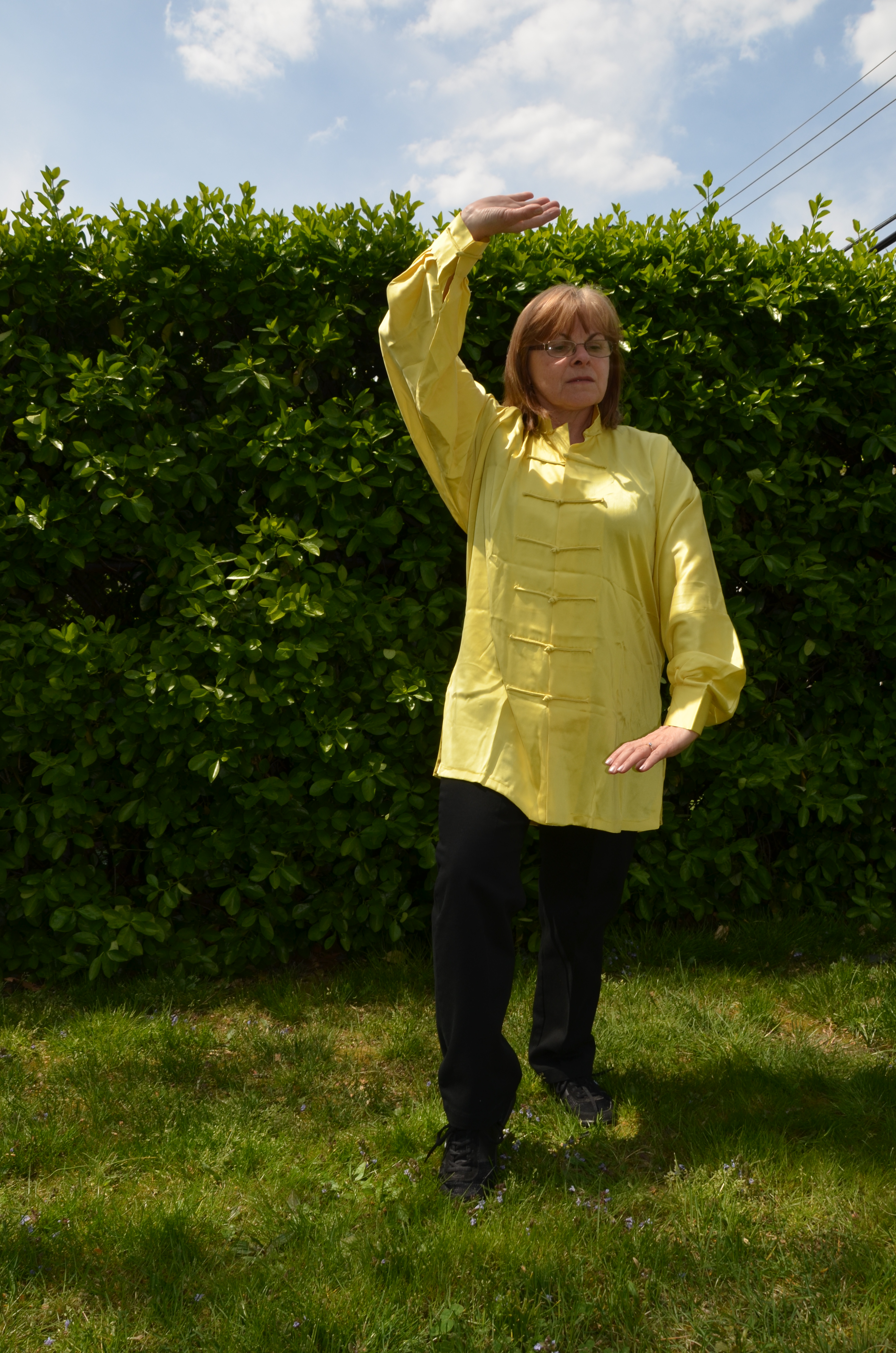 picture of an advanced student demonstrating some tai chi moves