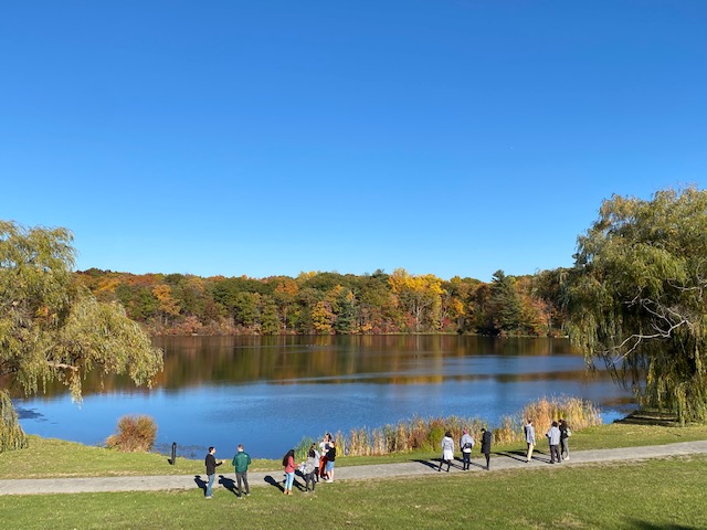 Lake
